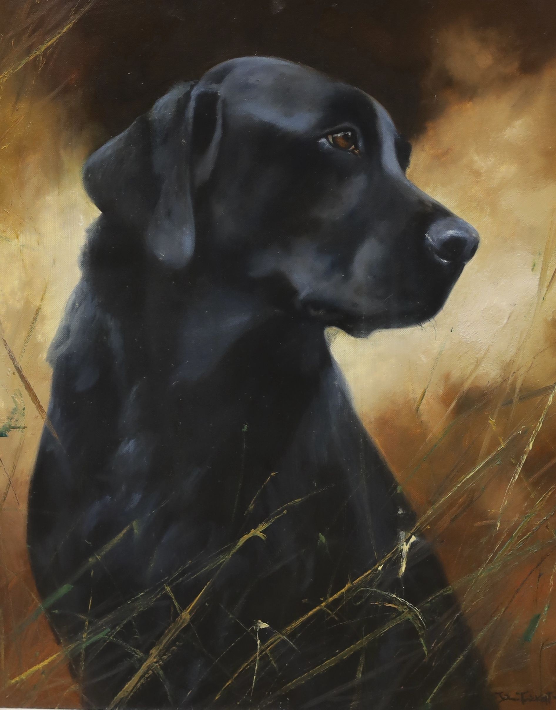 John Trickett (b.1953), oil on canvas, Portrait of a Black Labrador, signed, 50 x 40cm